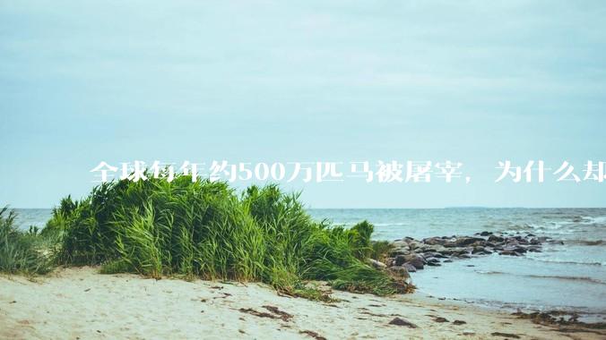 全球每年约500万匹马被屠宰，为什么却见不到中国人吃马肉？