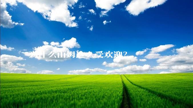 为什么山姆这么受欢迎？